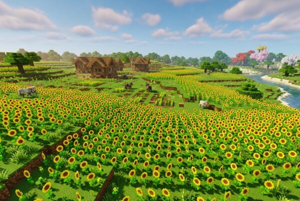 Minecraft Sunflower Plains Biome