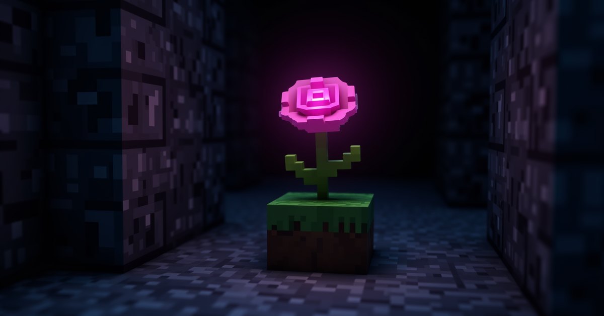 Wither rose in Minecraft: how to get it and what it does